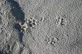 20081031 white sands 002